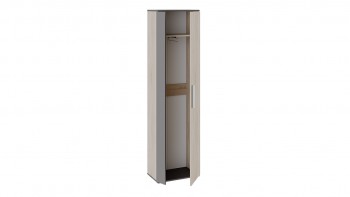 Шкаф для одежды «Нуар» тип 1 Фон серый/Дуб сонома в Енисейске - enisejsk.mebel54.com | фото