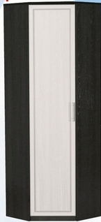 Шкаф для одежды угловой ДЛЯ ГОСТИНОЙ ШОУ-695 Венге/Дуб выбеленный в Енисейске - enisejsk.mebel54.com | фото