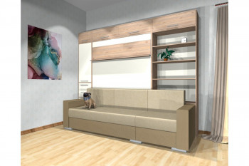 Шкаф-кровать с диваном Каролина в Енисейске - enisejsk.mebel54.com | фото